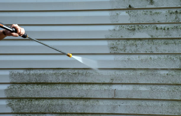 Best Mold Remediation  in Cloverdale, VA