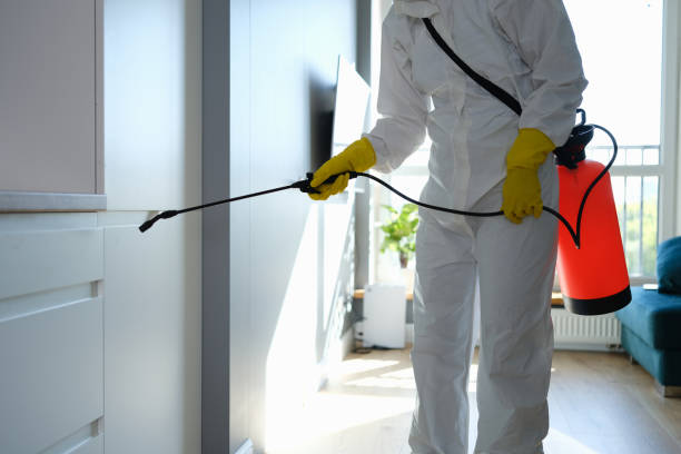 Attic Mold Removal in Cloverdale, VA